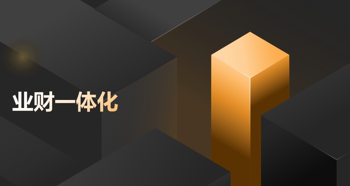 财务总账模块